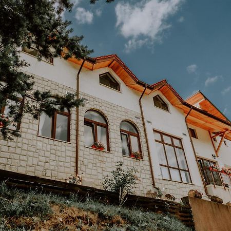 Pensiunea Poiana Verde Slanic Moldova Exterior photo