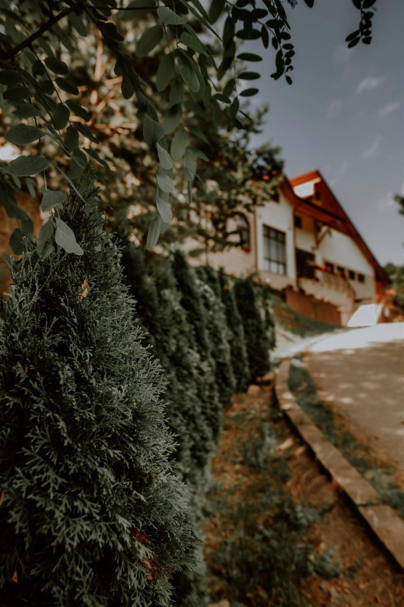 Pensiunea Poiana Verde Slanic Moldova Exterior photo
