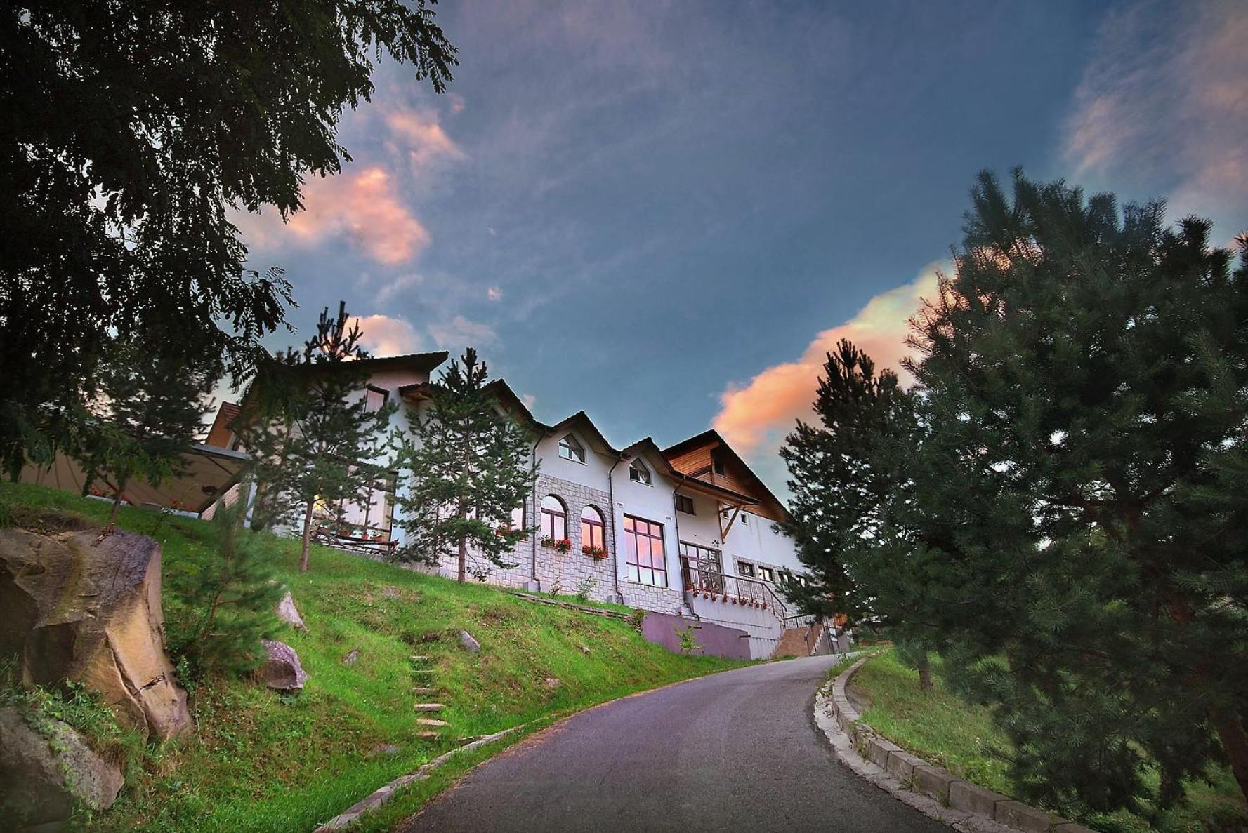 Pensiunea Poiana Verde Slanic Moldova Exterior photo