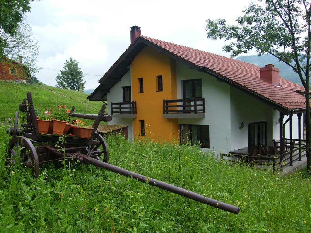 Pensiunea Poiana Verde Slanic Moldova Exterior photo